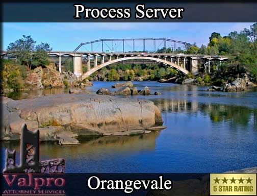 Registered Process Server Orangevale California