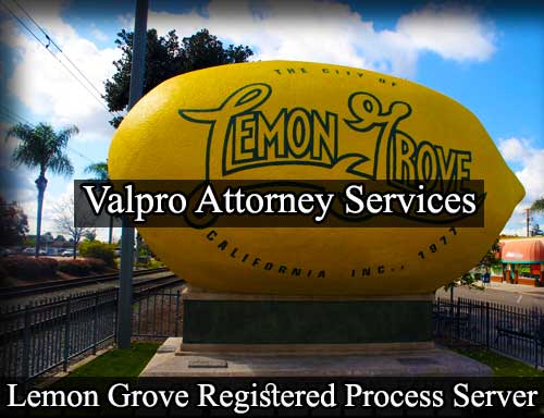 Registered Process Server Lemon Grove