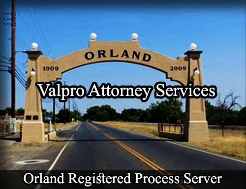 Registered Process Server Orland California