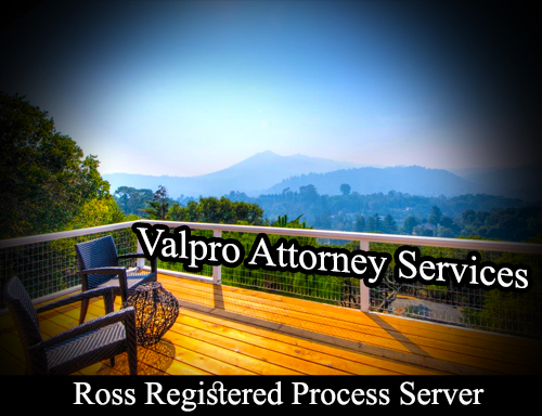 Registered Process Server Ross